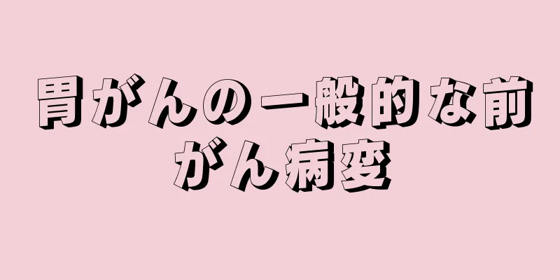 胃がんの一般的な前がん病変