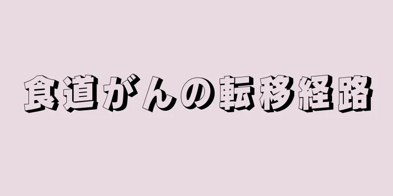 食道がんの転移経路