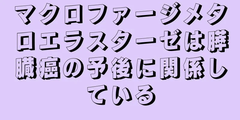 マクロファージメタロエラスターゼは膵臓癌の予後に関係している