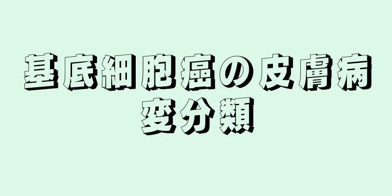 基底細胞癌の皮膚病変分類