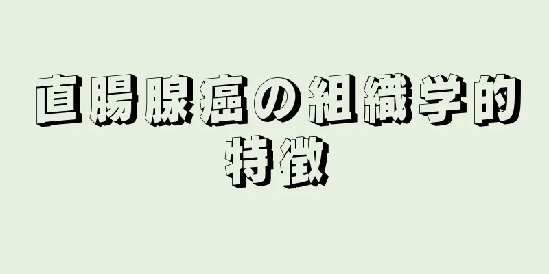 直腸腺癌の組織学的特徴
