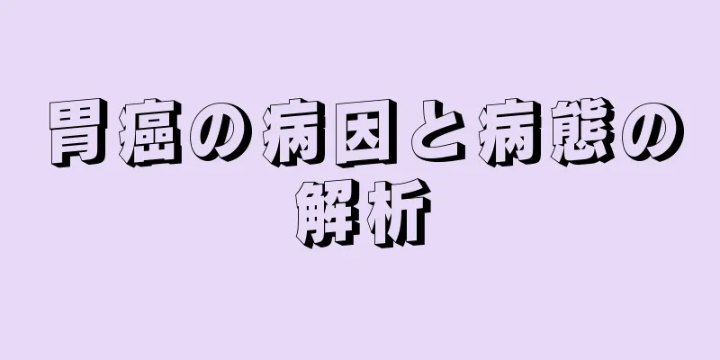 胃癌の病因と病態の解析