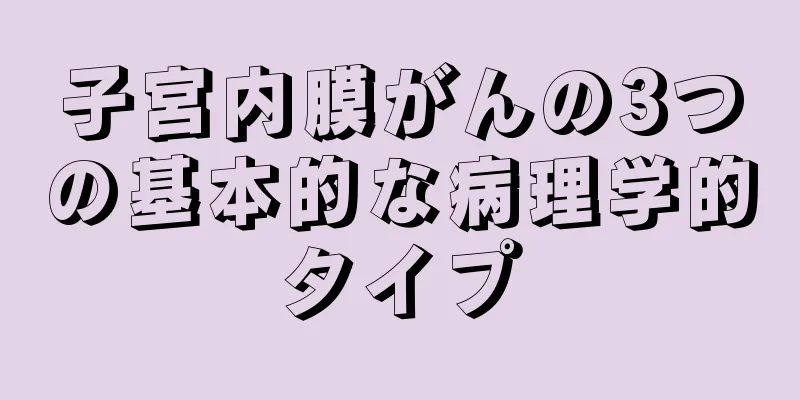 子宮内膜がんの3つの基本的な病理学的タイプ