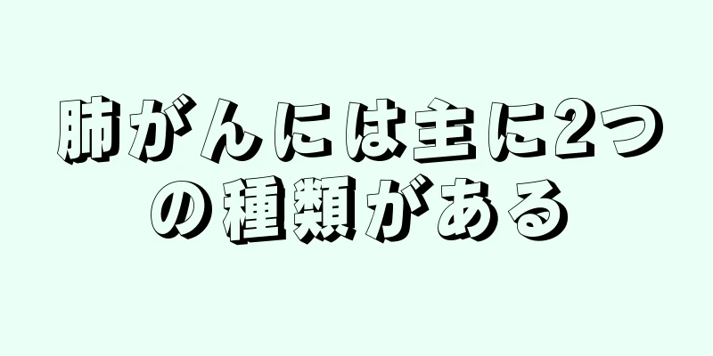 肺がんには主に2つの種類がある