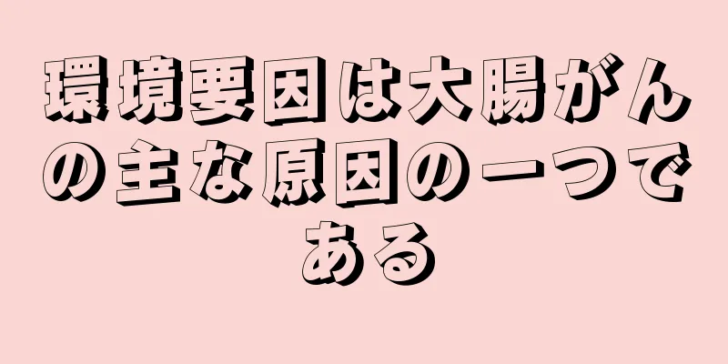 環境要因は大腸がんの主な原因の一つである
