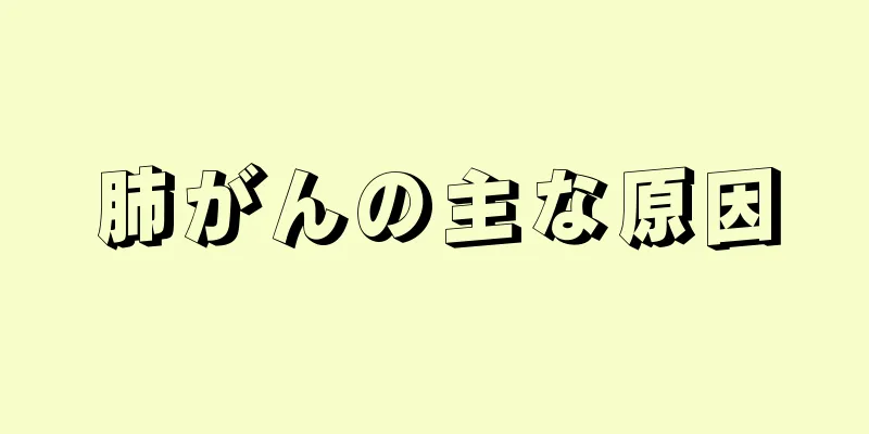 肺がんの主な原因