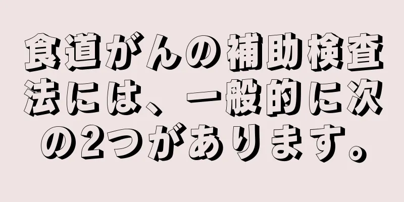 食道がんの補助検査法には、一般的に次の2つがあります。