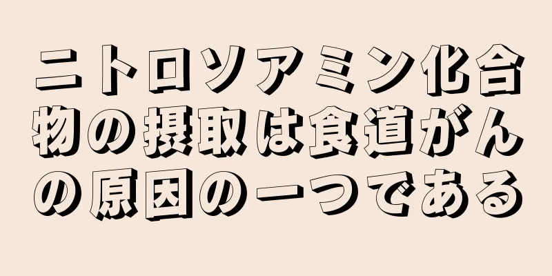 ニトロソアミン化合物の摂取は食道がんの原因の一つである