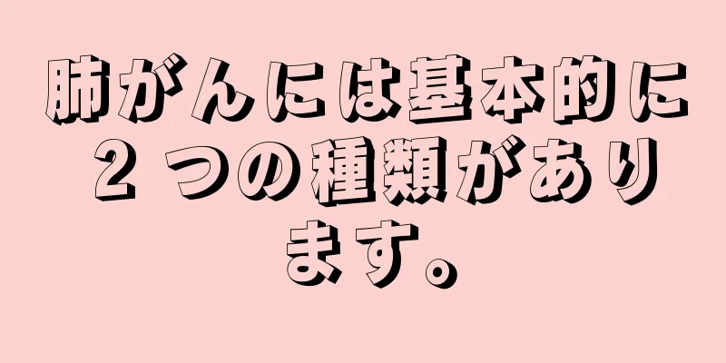 肺がんには基本的に 2 つの種類があります。
