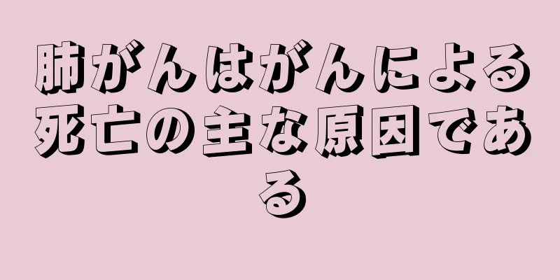 肺がんはがんによる死亡の主な原因である