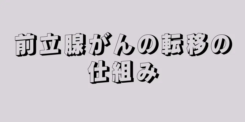前立腺がんの転移の仕組み