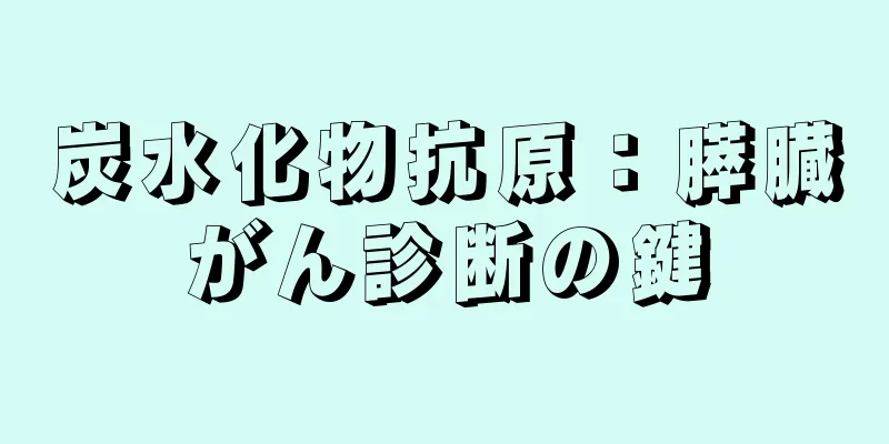 炭水化物抗原：膵臓がん診断の鍵